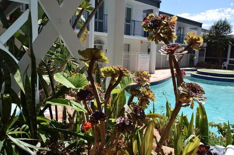 Seashore Memories - Sleeps 3 - Accommodation QLD 14