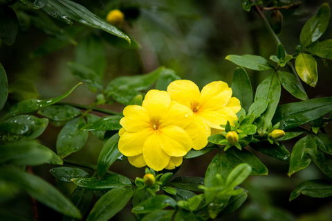 Riverglen Chalets - Accommodation QLD 44