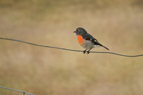 Riverglen Chalets - Accommodation QLD 43