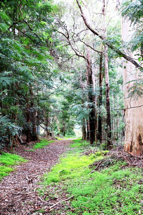 Treenbrook Cottages - Accommodation QLD 12