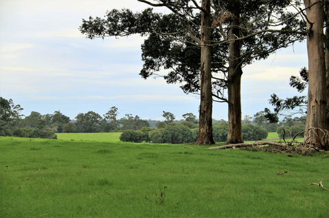 Treenbrook Cottages - Accommodation QLD 11