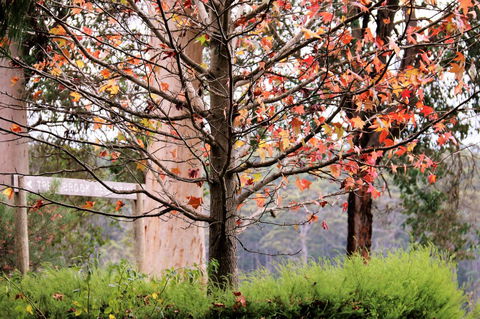 Treenbrook Cottages - Accommodation QLD 6