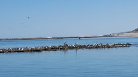 Kalbarri Seaview Villas - Accommodation QLD 33