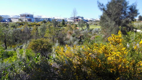Alkimos Beach Cottage - Accommodation QLD 3