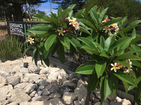 Esperance Central Accommodation - Accommodation QLD 3