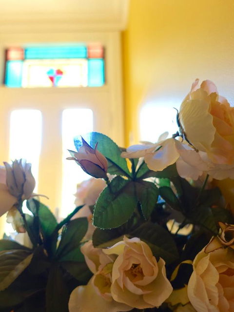 The Blacksmiths Cottage - Accommodation QLD 16