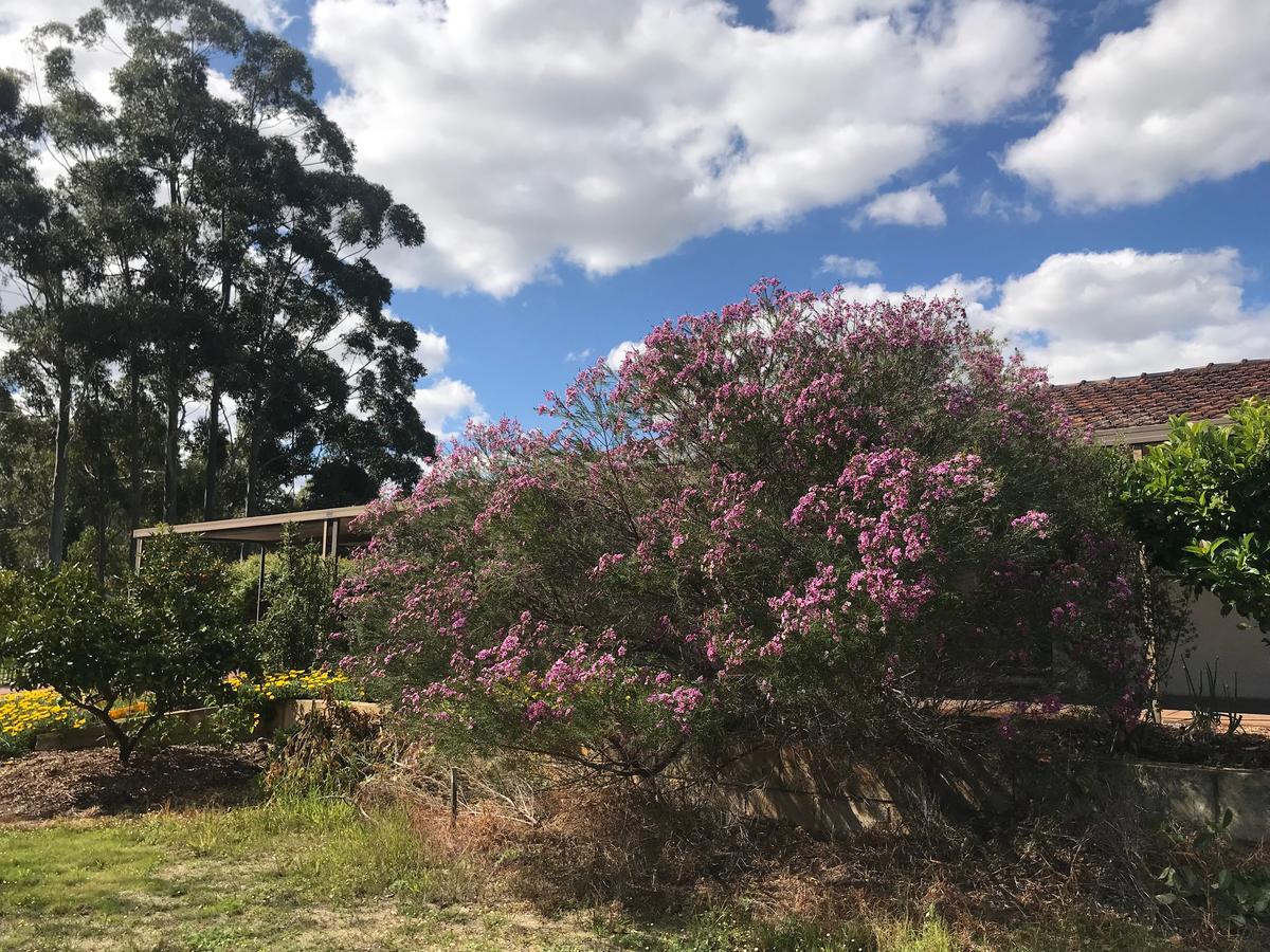  Accommodation QLD