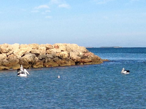 Gypsy Cottage - Accommodation QLD 13