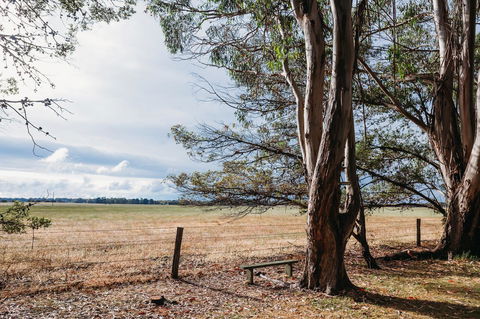 Margaret River Holiday Cottages - Accommodation QLD 22