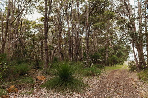 Margaret River Holiday Cottages - Accommodation QLD 31