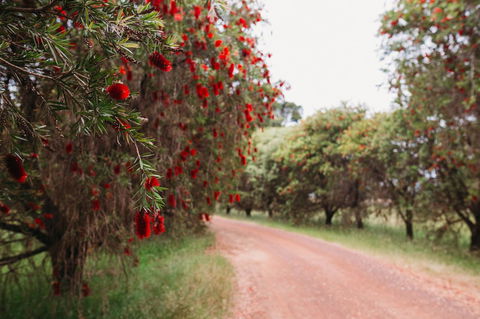 Margaret River Holiday Cottages - Accommodation QLD 17