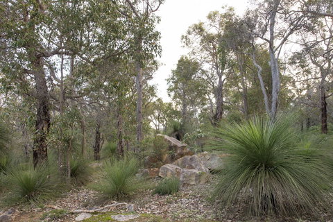 A Hidden Bush Delight - Accommodation QLD 23