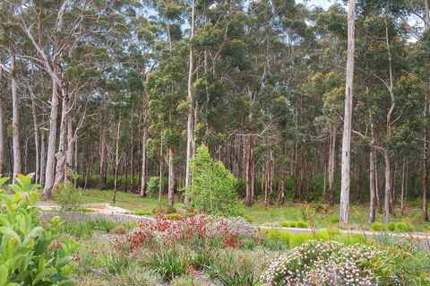 Churchill Studios - Accommodation QLD 9