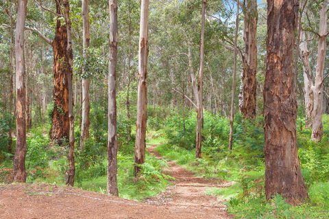 Churchill Studios - Accommodation QLD 8