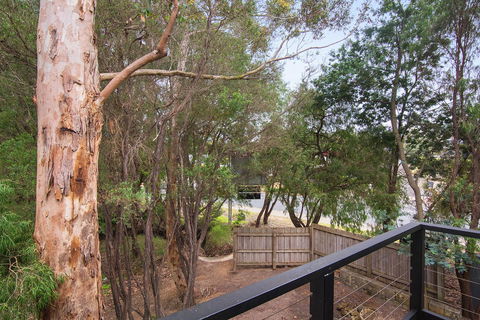 Margarets Forest - Accommodation QLD 12