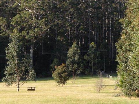 Big Brook Retreat - Accommodation QLD 5
