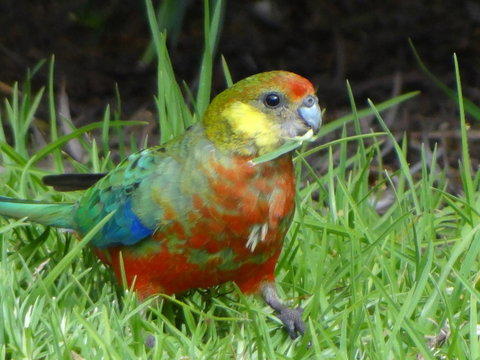 Big Brook Retreat - Accommodation QLD 13
