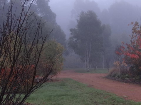 Big Brook Retreat - Accommodation QLD 14
