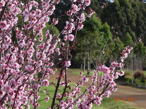 Big Brook Retreat - Accommodation QLD 9