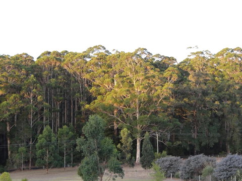Big Brook Retreat - Accommodation QLD 11