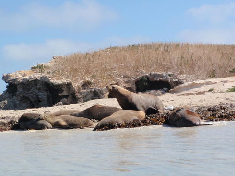 Island View Villas - Accommodation QLD 14
