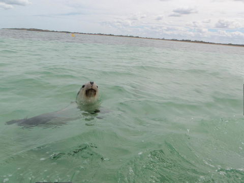 Island View Villas - Accommodation QLD 13