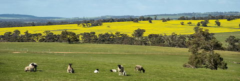 Kendenup Cottages And Lodge - Accommodation QLD 44