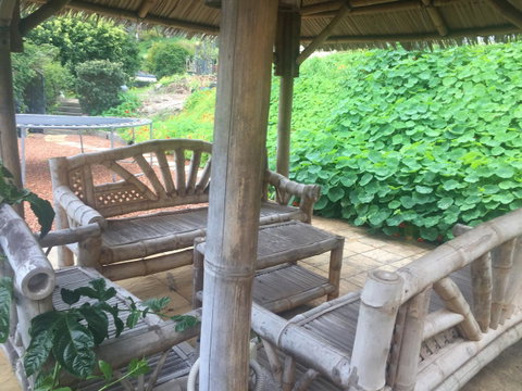 Bright & Beautiful Home On The Hills! - Accommodation QLD 25