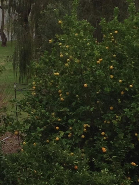Bright & Beautiful Home On The Hills! - Accommodation QLD 34