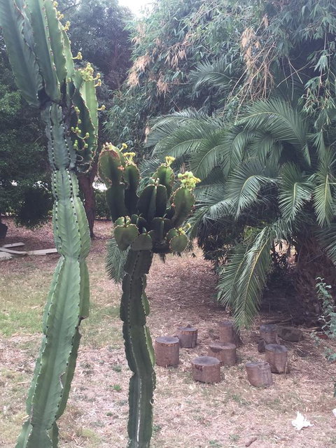Bright & Beautiful Home On The Hills! - Accommodation QLD 29