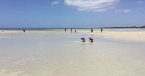 Beach House Dunsborough - Accommodation QLD 22