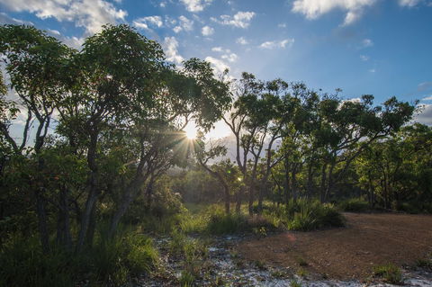 Cape Howe Cottages - Accommodation QLD 1