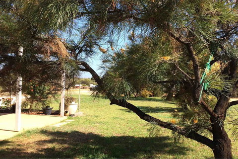 Ocean View Homestead - Accommodation QLD 23