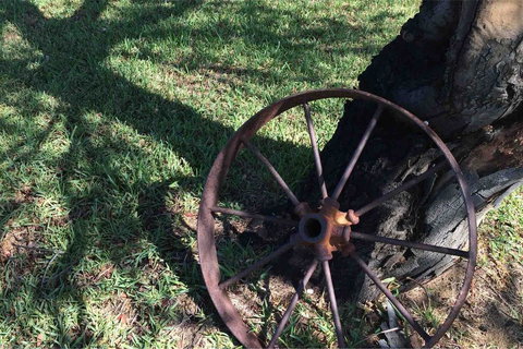 Ocean View Homestead - Accommodation QLD 29