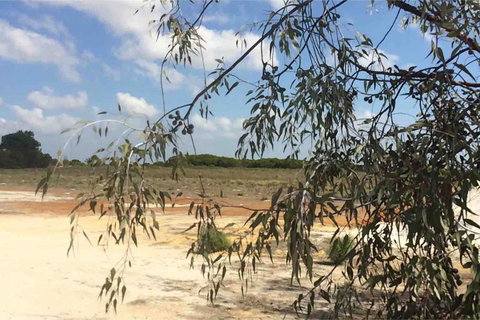 Ocean View Homestead - Accommodation QLD 16