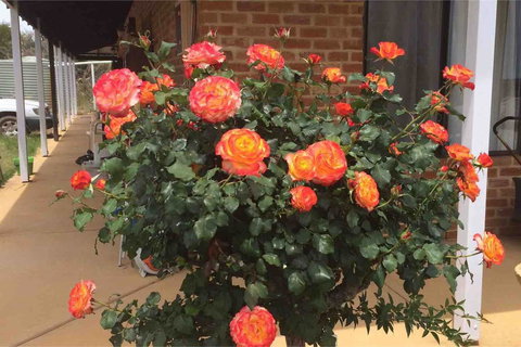 Ocean View Homestead - Accommodation QLD 22