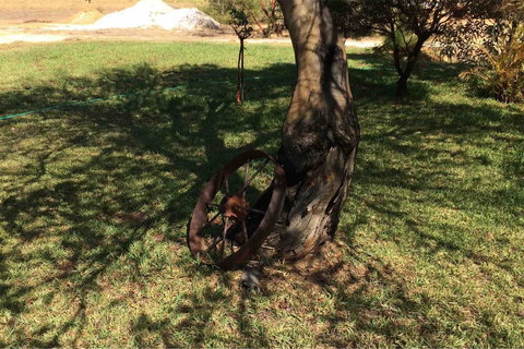 Ocean View Homestead - Accommodation QLD 18