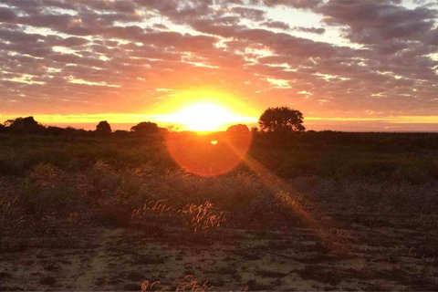 Ocean View Homestead - Accommodation QLD 11