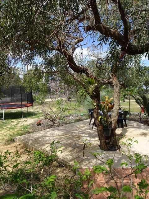 Majestichomestead B&B - Accommodation QLD 7