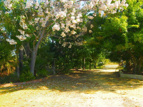 Majestichomestead B&B - Accommodation QLD 33