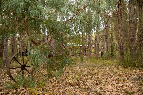 Denmark Forest Retreat - Accommodation QLD 5