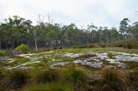 Denmark Forest Retreat - Accommodation QLD 26