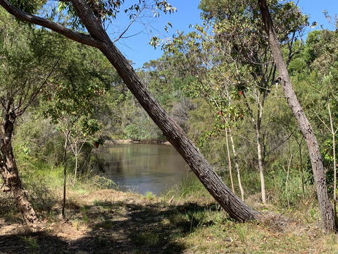 Denmark Forest Retreat - Accommodation QLD 32