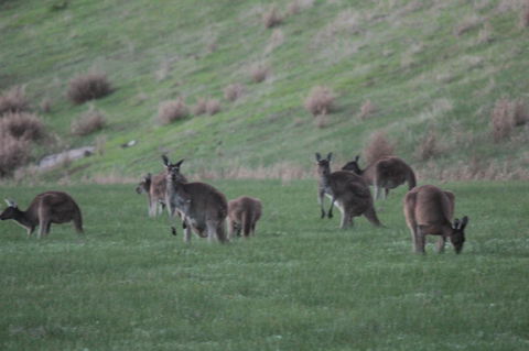 The Farmhouse - Accommodation QLD 14