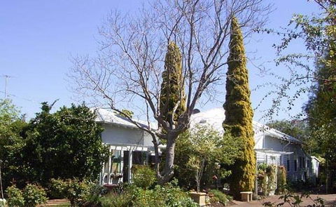 Jacaranda Guest House - Accommodation QLD 37
