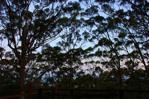 Ark Of Denmark - Accommodation QLD 27