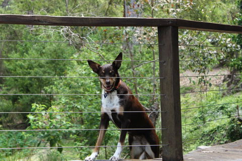 Ark Of Denmark - Accommodation QLD 10