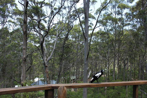 Ark Of Denmark - Accommodation QLD 11