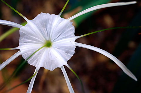 Habitat Resort - Accommodation QLD 39