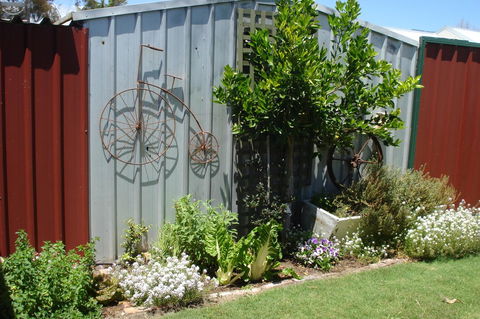 Bluebird Cottage - Accommodation QLD 26
